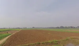 Harpura, Bihar, India preview 3