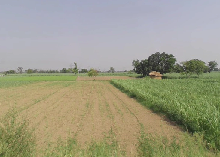 Alamgir Pur, Uttar Pradesh 250502, India