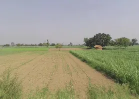 Alamgir Pur, Uttar Pradesh 250502, India preview 2