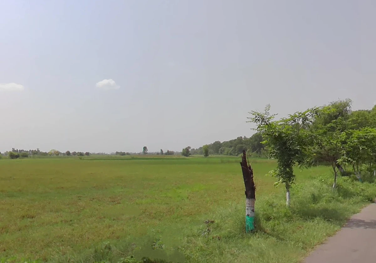 Charkhi Dadri, Haryana 127306, India