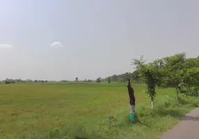 Charkhi Dadri, Haryana 127306, India preview 3
