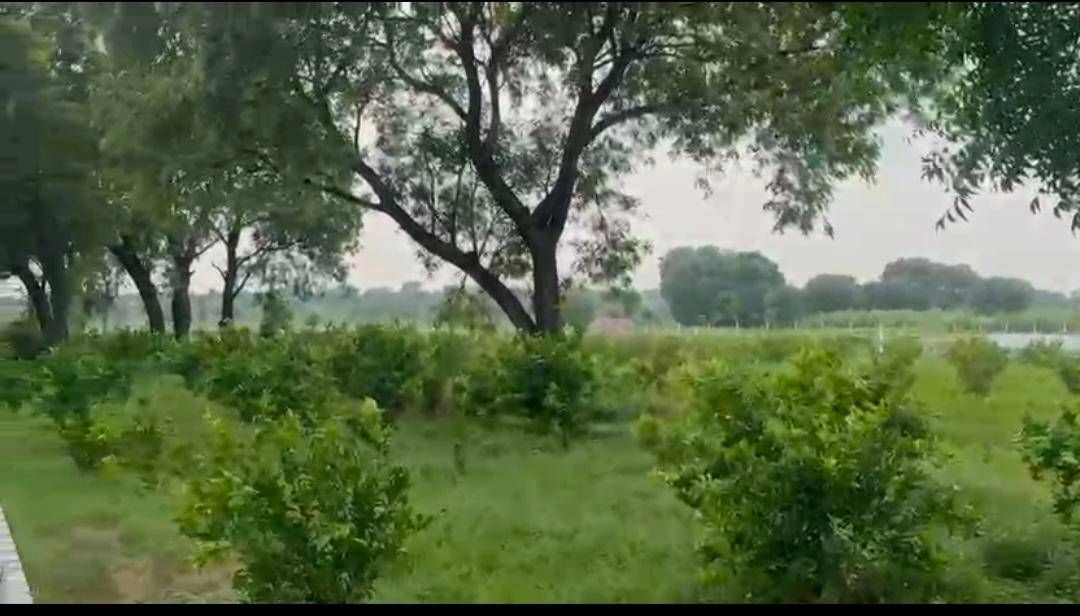 Goraula, Aligarh, Uttar Pradesh 202165, India - Photo 2