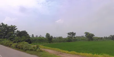 Dhanaura, Uttar Pradesh 244231, India preview 2