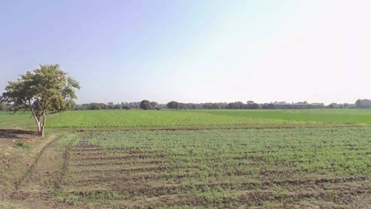 Q2CF+XCP, Baroda Kara, Madhya Pradesh 452016, India