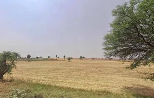 CWQ4+QQ Gurugram, Haryana, India preview 3