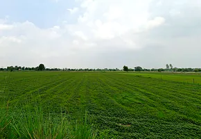 Tentigaon, Uttar Pradesh, India preview 3