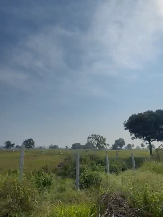 G246+766, Mahabubabad, Mahammadapur, Telangana 506333, India - Photo 2