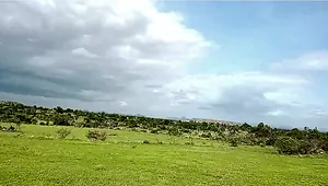 XMPF+QW Palasamudram, Andhra Pradesh, India preview 2