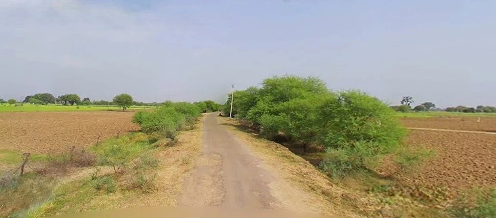 Barnagar, Madhya Pradesh 456771, India