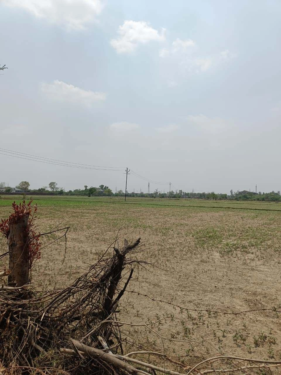 Gharwari, Rajasthan 321201, India