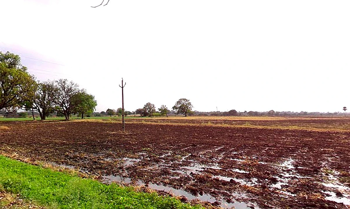 Sangvi, Madhya Pradesh 451221, India