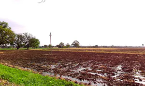 Sangvi, Madhya Pradesh 451221, India preview 3