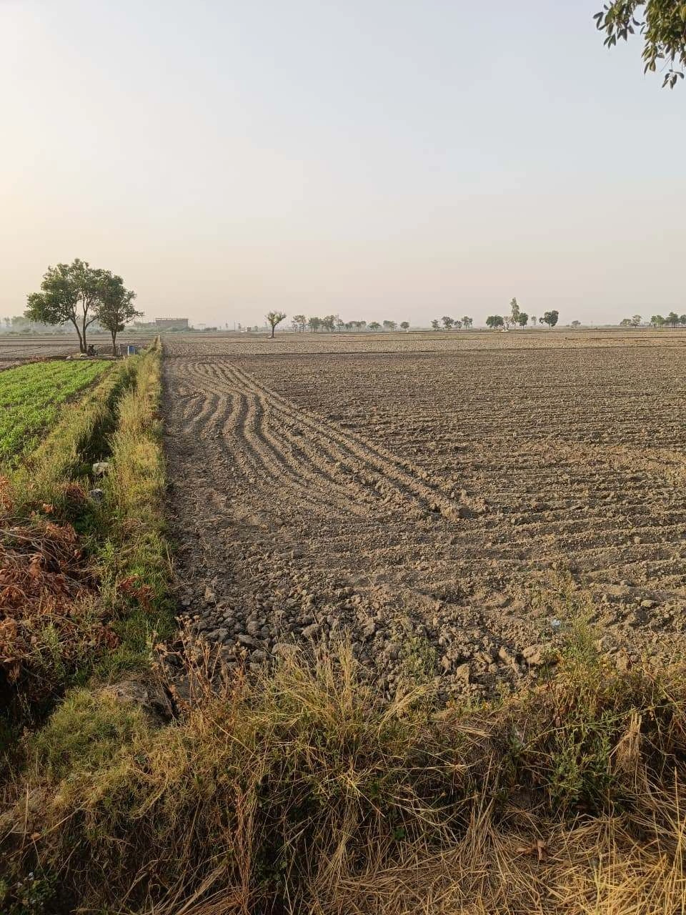 Tentigaon, Uttar Pradesh, India