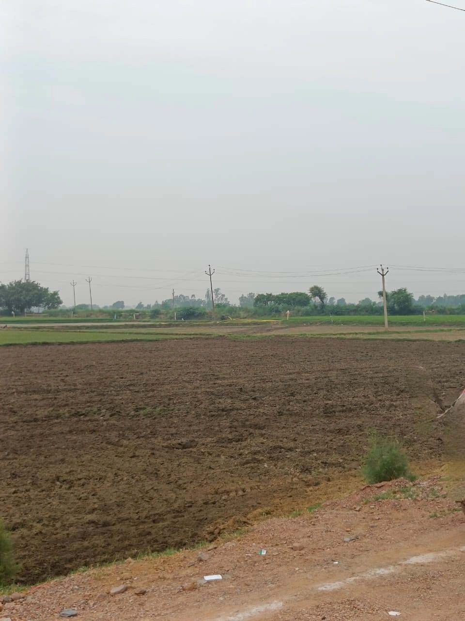 Adampur, Uttar Pradesh, India