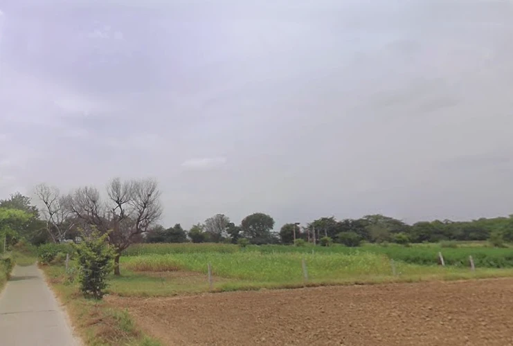 Dholera, Gujarat 382455, India