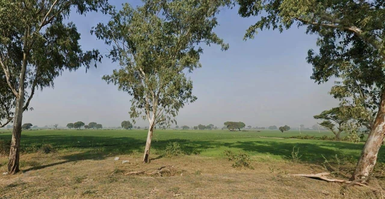 RQCH+6MM, Paliya Haidar, Madhya Pradesh 453111, India preview 3