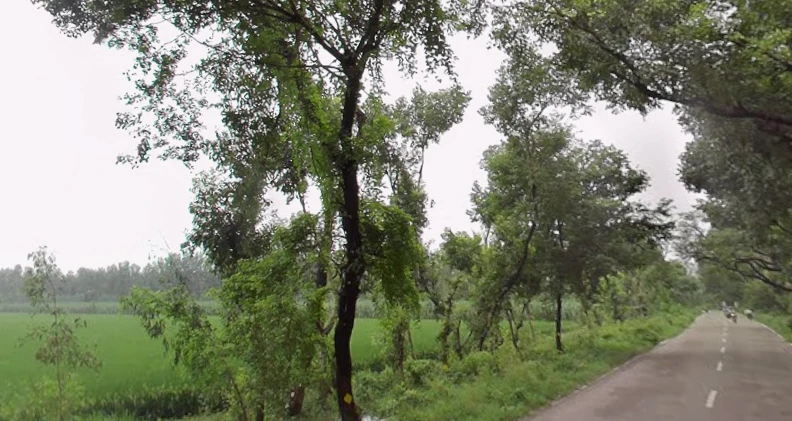 Manjhipur, Uttar Pradesh 247129, India