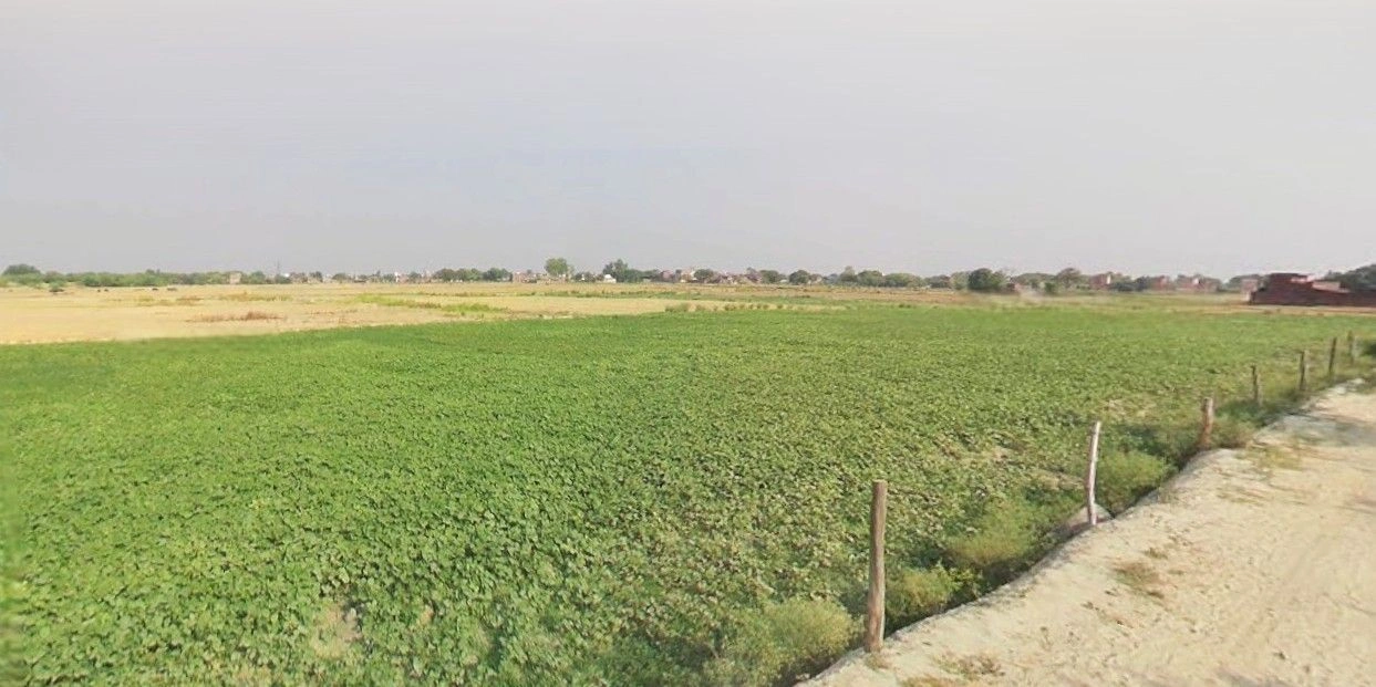 Jewar, Uttar Pradesh 203135, India