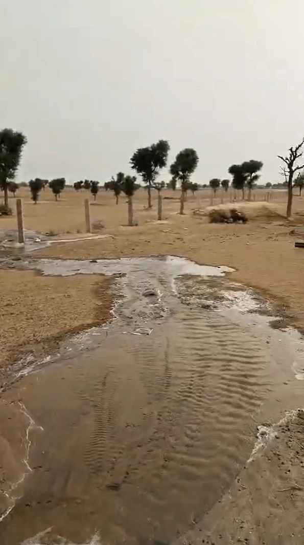 Lunkaransar, Bikaner, Rajasthan 334603, India