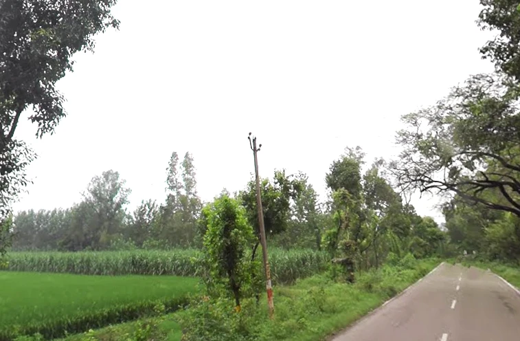 Kurdi Khera, Uttar Pradesh 247129, India