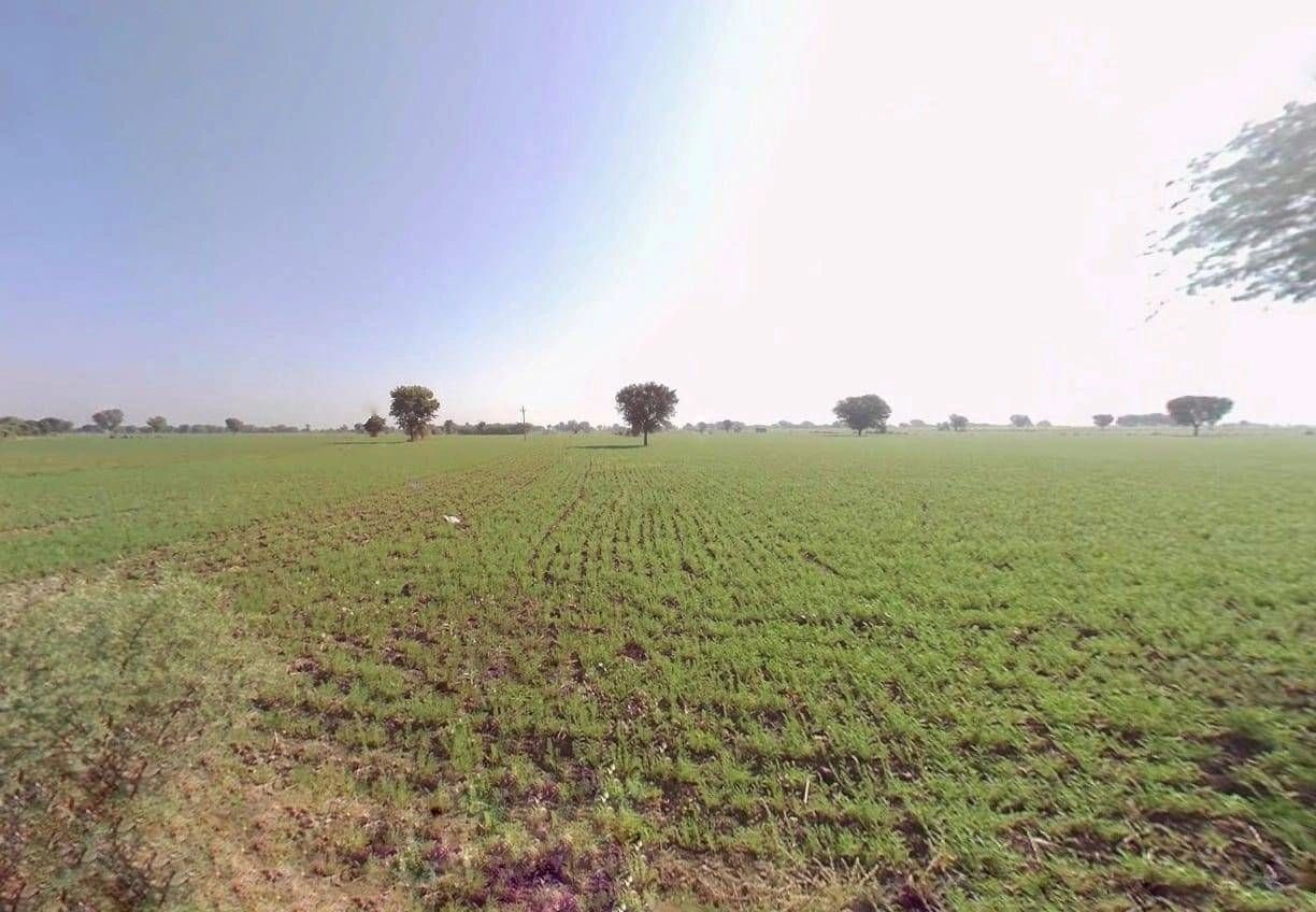 Dudu, Rajasthan 303008, India