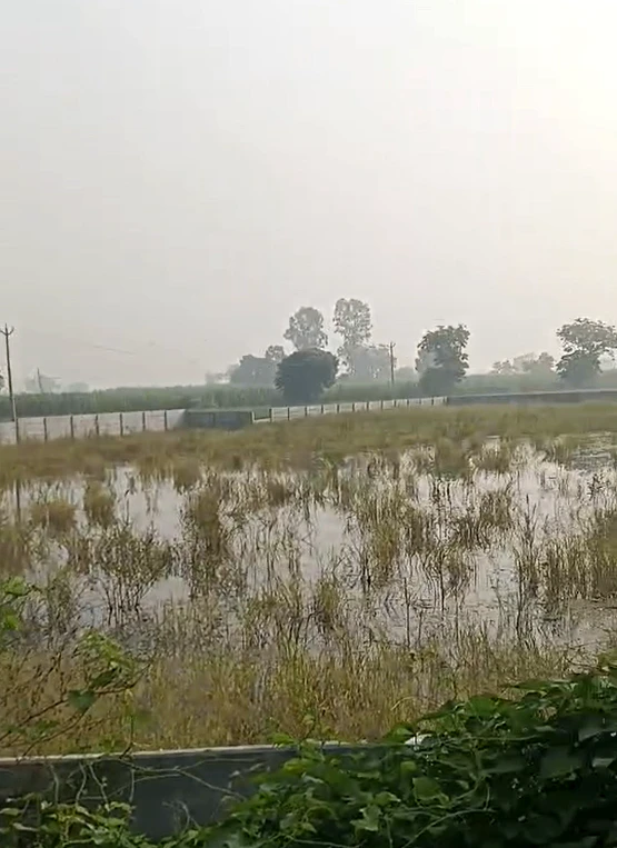 2794+FF, Palwal, Hathin, Kondal, Haryana 121103, India
