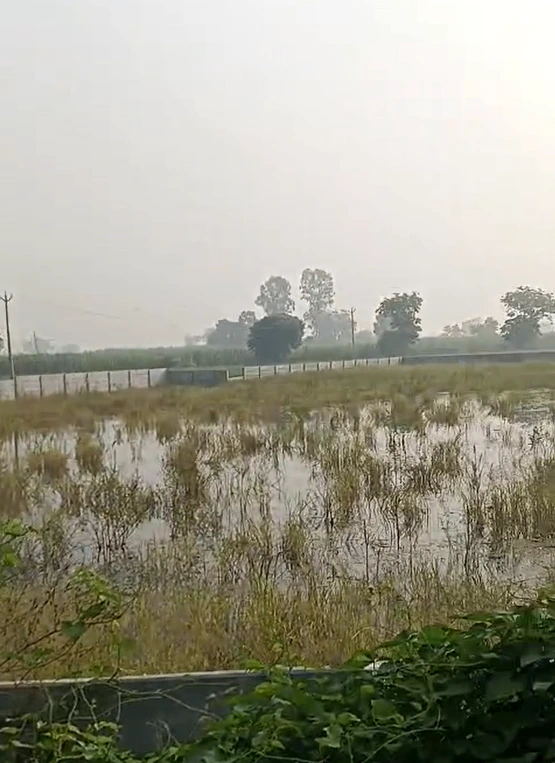 2794+FF, Palwal, Hathin, Kondal, Haryana 121103, India - Photo 4