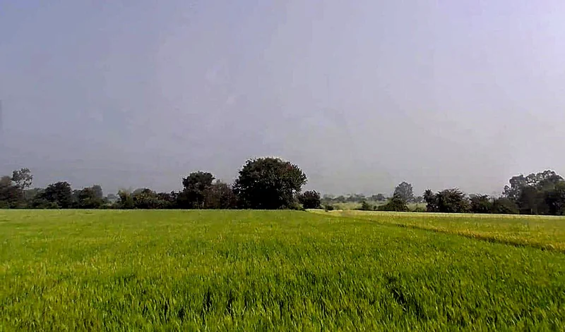Sankheda, Madhya Pradesh 466665, India preview 2