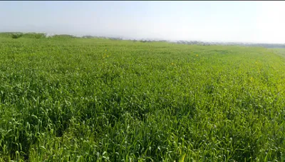 Ganj Basoda, Madhya Pradesh 464221, India preview 3