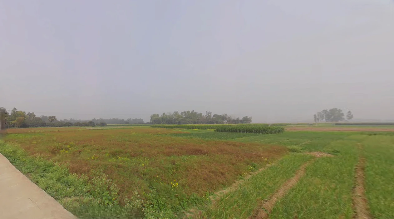 Belgharia Main Rd, Belgharia, Payradanga, West Bengal, India