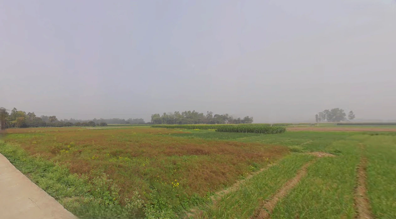 Belgharia Main Rd, Belgharia, Payradanga, West Bengal, India