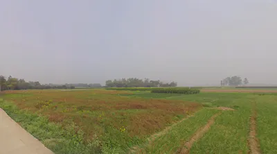 Belgharia Main Rd, Belgharia, Payradanga, West Bengal, India preview 2