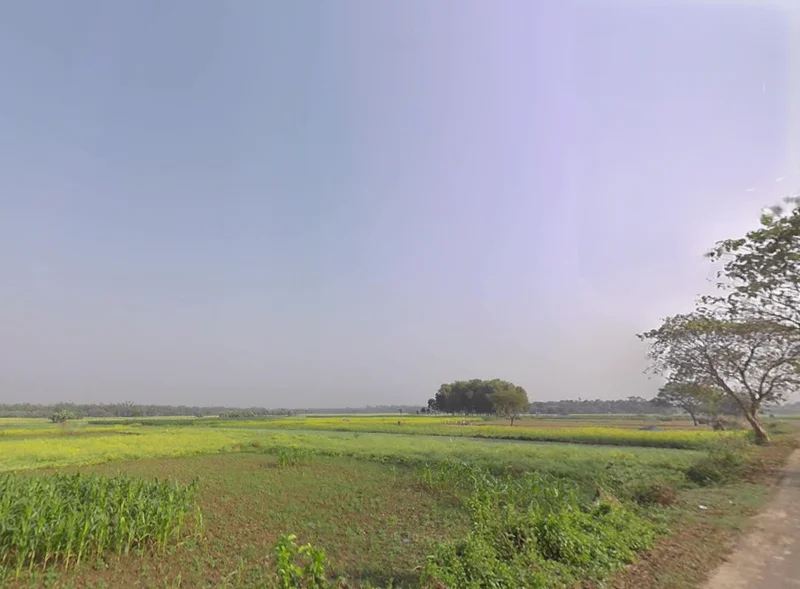 FC36+45F, Bhaktisiddhanta Saraswati Marg, Bamanpukur, West Bengal 741313, India preview 3