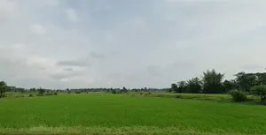 Bangla, West Bengal 722136, India preview 3