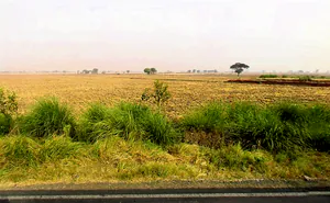 Haileymandi, Haryana 122504, India preview 3