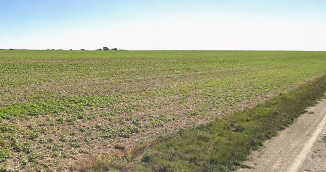 Ingoriya, Madhya Pradesh 456222, India