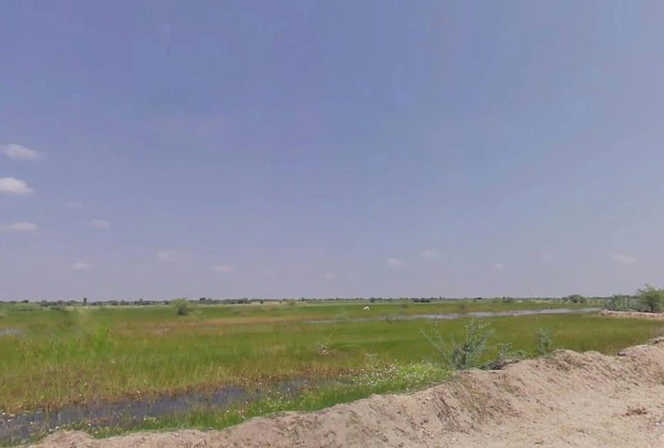 Khedapati Balaji Marg, Vyas Colony, Madhorajpura, Rajasthan 303006, India