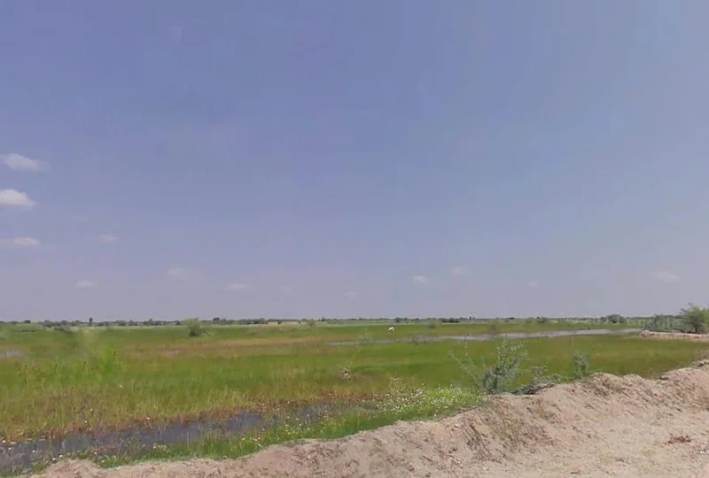 Khedapati Balaji Marg, Vyas Colony, Madhorajpura, Rajasthan 303006, India preview 3