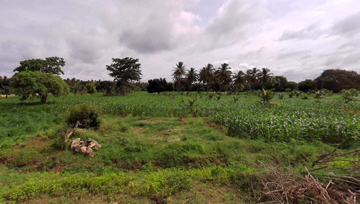 Gaddige, Karnataka 571189, India