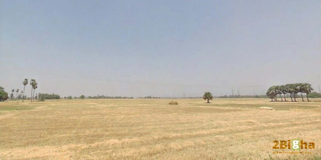 Bikram - Bihta Rd, Dayalpur Daulatpur, Bihar, India