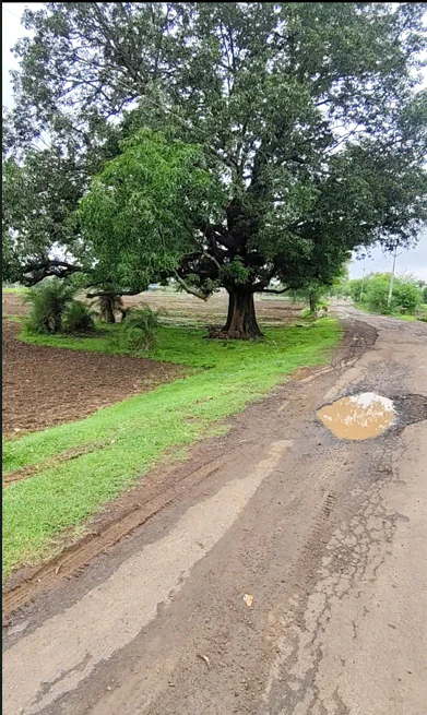 Napakhedi, Dewas, Madhya Pradesh 455001, India