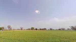 Gandoora, Rajasthan, India preview 3