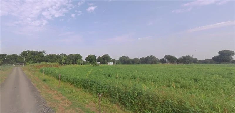 35RC+MP Sachana, Gujarat, India