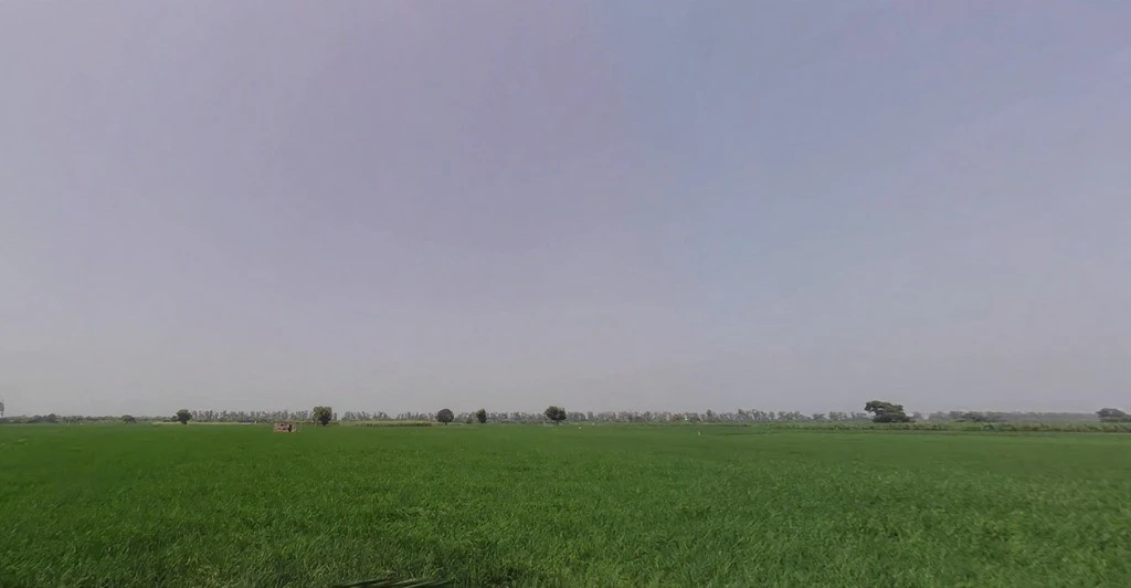 7472+Q69, Panipat, Matnauli, Haryana 132122, India