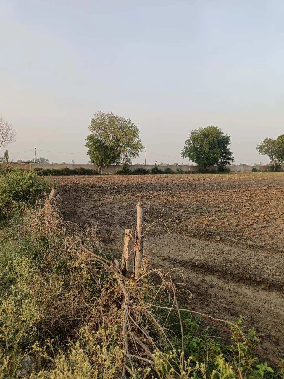 Chandauri, Uttar Pradesh, India