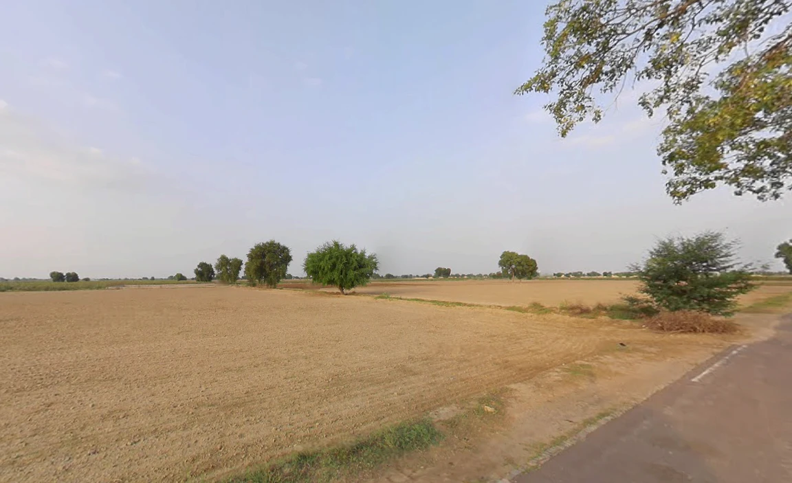 Kaluana, Haryana 125103, India