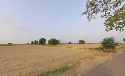 Kaluana, Haryana 125103, India preview 3
