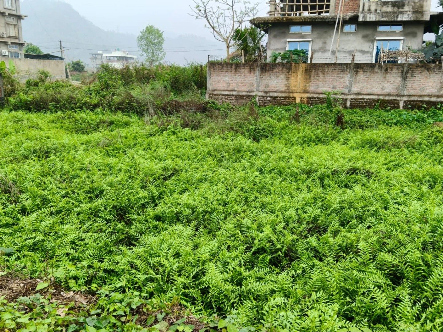 AHOM GAON, Guwahati, Assam, India