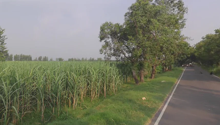 Sardhana, Uttar Pradesh 250342, India preview 2