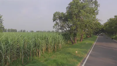 Sardhana, Uttar Pradesh 250342, India preview 2